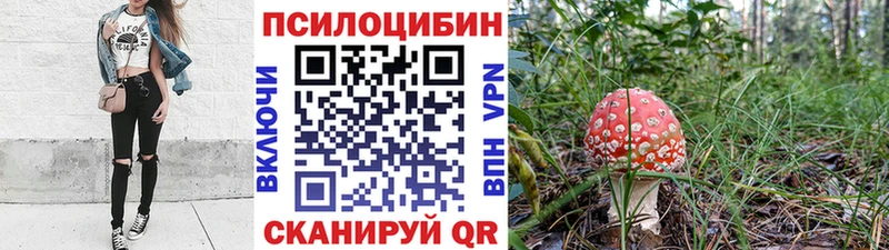 гидра как войти  Жуковка  Псилоцибиновые грибы Psilocybine cubensis 